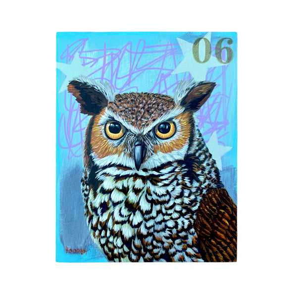 Horned Owl - Tim Hooper