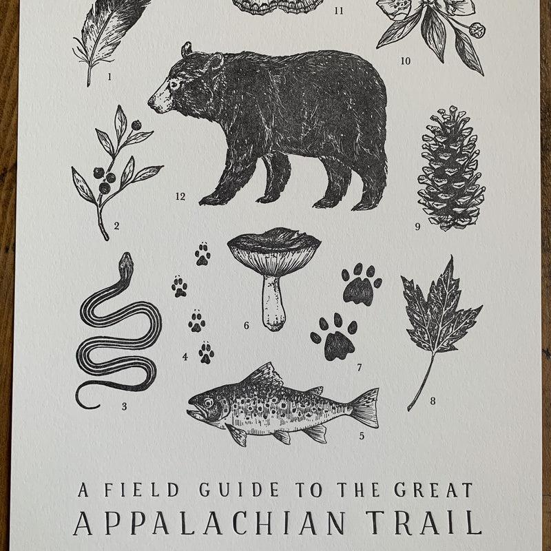 Appalachian Trail Guide