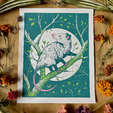 Opossum Print