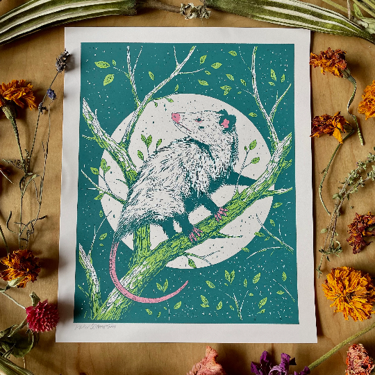 Opossum Print