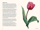 Tulips - A Little Book of Flowers