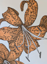 Tiger Lily Birthday Card