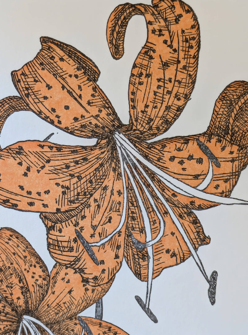 Tiger Lily Birthday Card