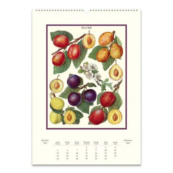 2025 Farmer's Market Wall Calendar