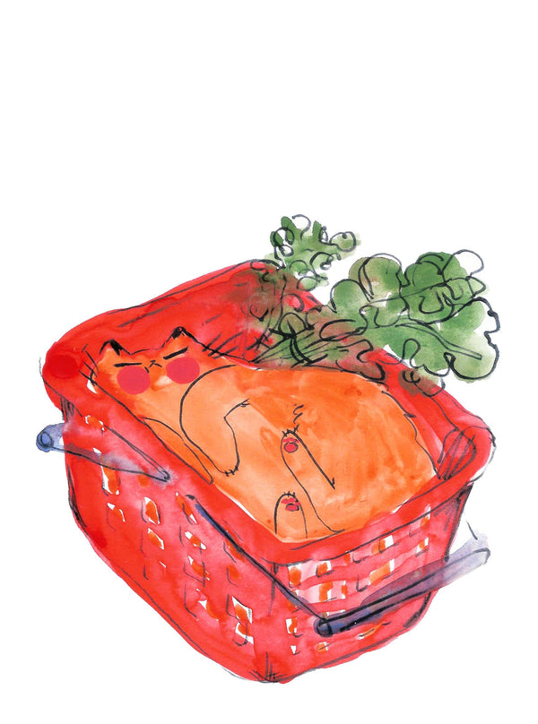 Print - "Basket Cat Dreaming" - 8 x 10