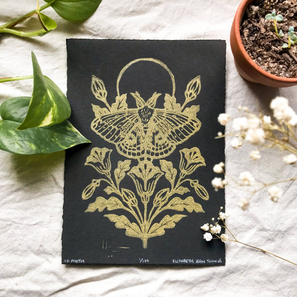 Moth & Poppies Handprinted Linocut on Handmade Paper 5x7"