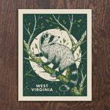 Raccoon Print