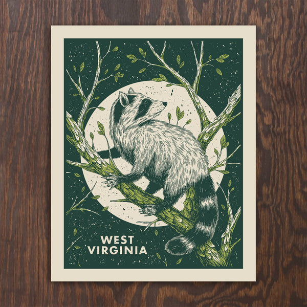 Raccoon Print
