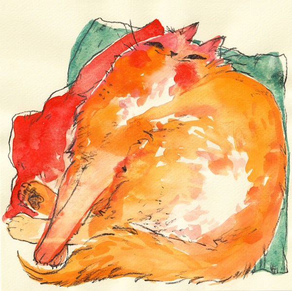Print - "Comfy Cat" - 8 x 8