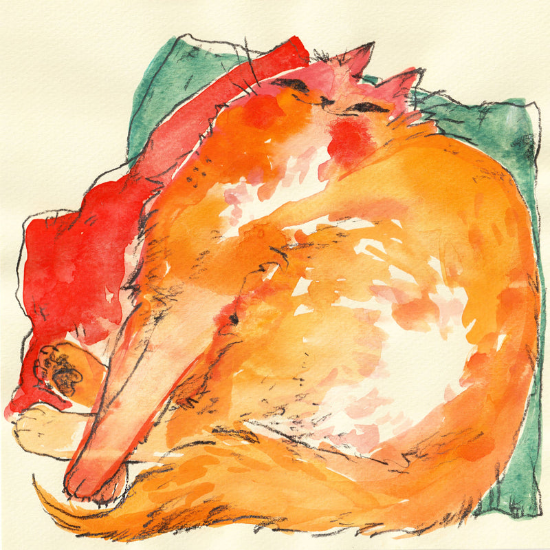 Print - "Comfy Cat" - 8 x 8