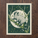 Raccoon Print