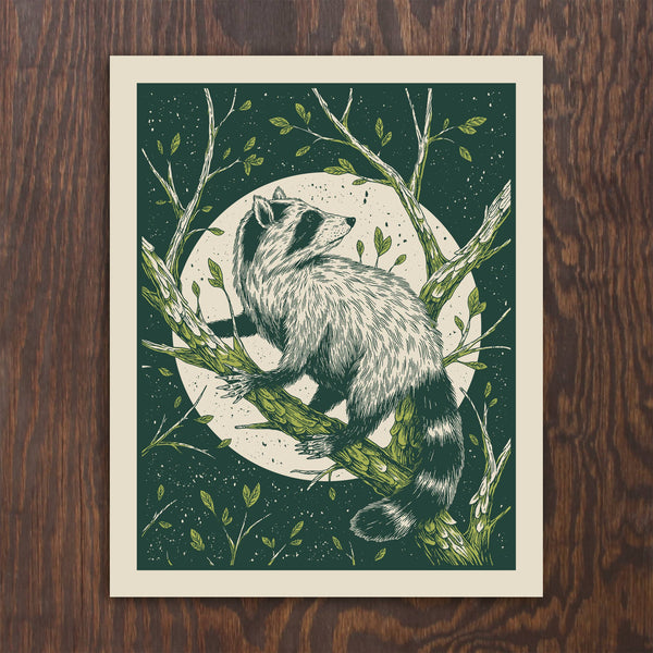 Raccoon Print