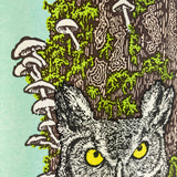 Art - Wise Old Owl in the Old Growth Forest