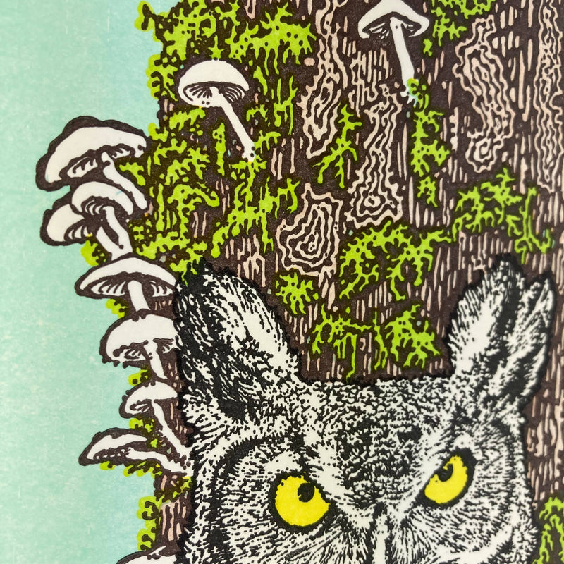Art - Wise Old Owl in the Old Growth Forest