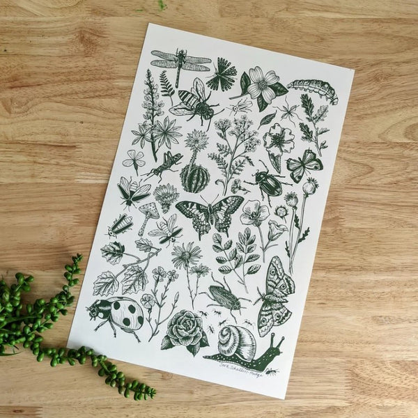 Bugs and Blooms Print