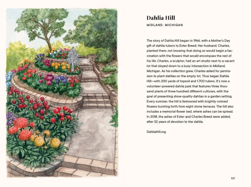 Dahlias - A Little Book of Flowers