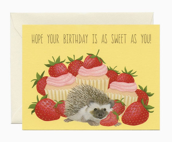 Strawberry Cupcake Hedgehog - Birthday