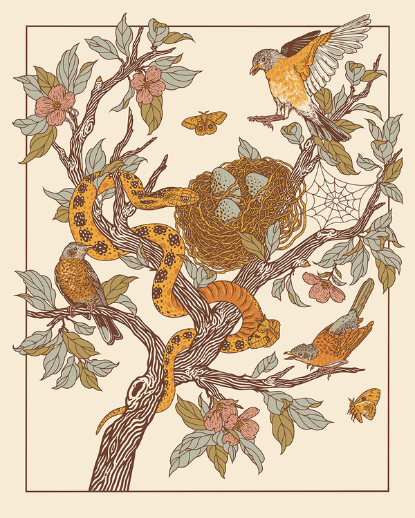Robins + Gopher Snake 16x20" Giclee Print