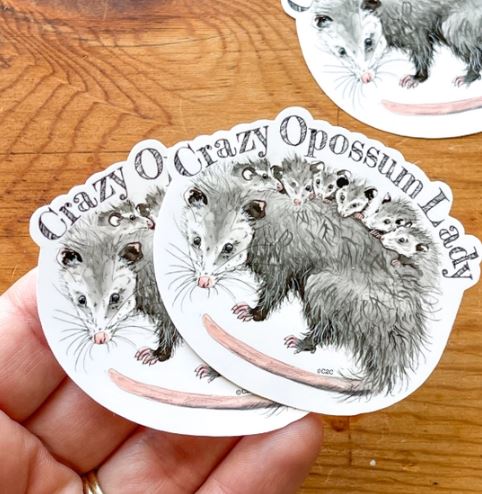 Momma & Babies Possum Sticker