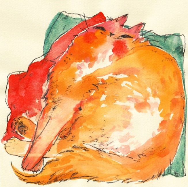 Comfy Cat Print