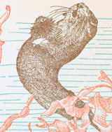 Kelp Birthday Card