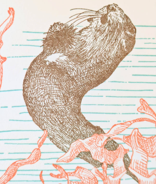 Kelp Birthday Card