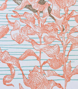 Kelp Birthday Card