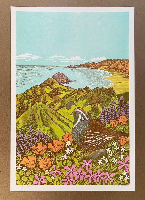 Central Coast Print - Camp Nevernice