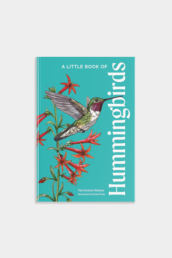 A Little Book of Hummingbirds