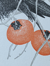 Persimmon Birthday Card