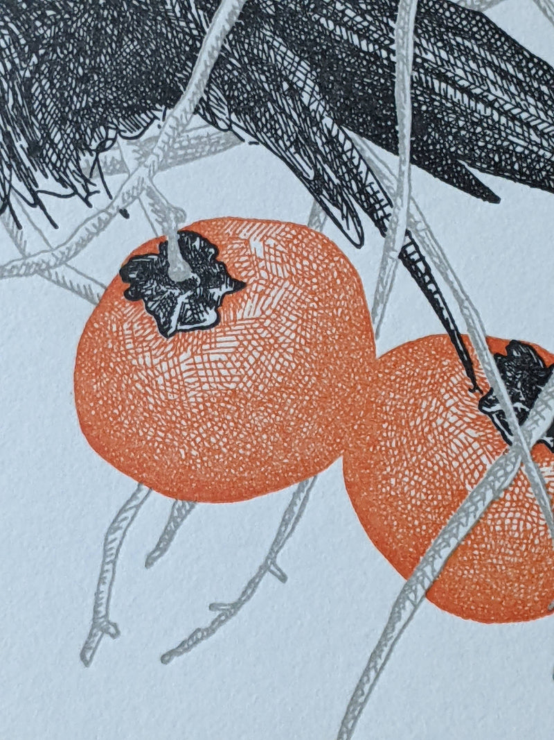 Persimmon Birthday Card