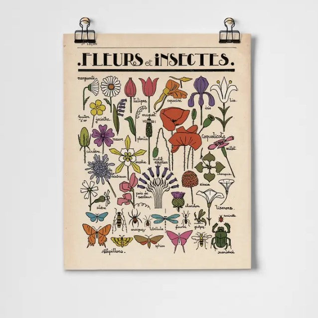 Fleus et Insectes Print