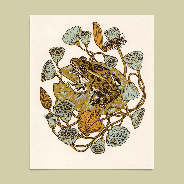Frog, Lotus Pods, and Lotus Flowers 8x10" Giclee Print