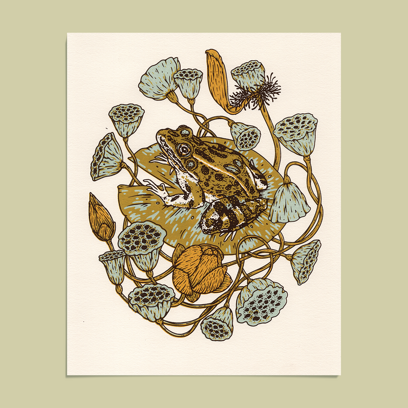 Frog, Lotus Pods, and Lotus Flowers 8x10" Giclee Print