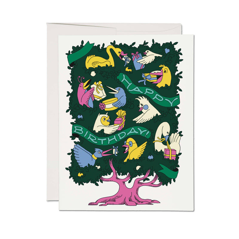 Birthday - Birds greeting card