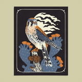 Kestrel & Prickly Pear 11x14" Giclee Print