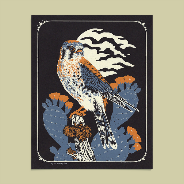 Kestrel & Prickly Pear 11x14" Giclee Print