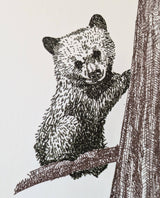 Redwood Birthday Card