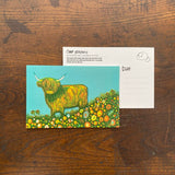 Highland Cow Postcard