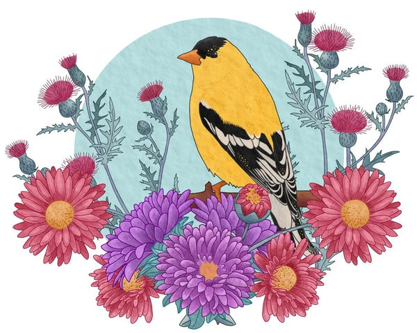 American Goldfinch Print