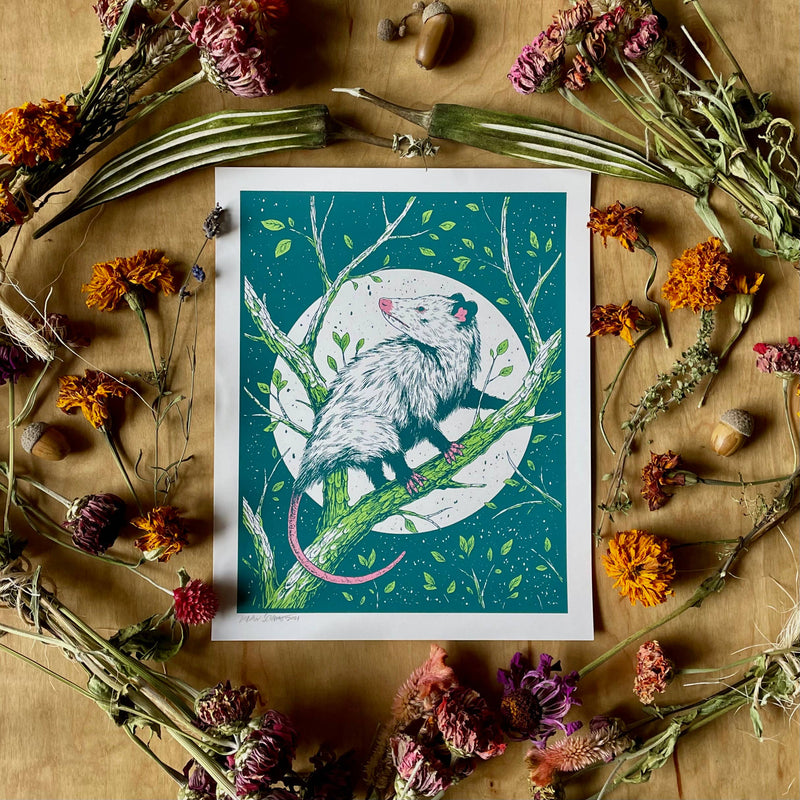 Opossum Print