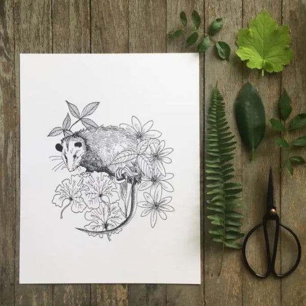 Possum and Native Flowers Print