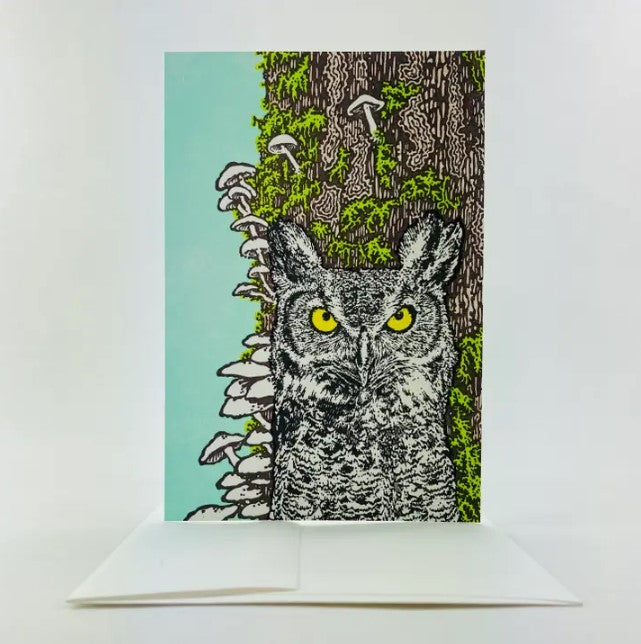 Owl in Old Growth Forest