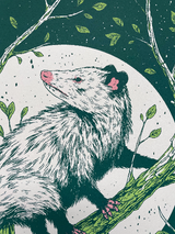 Opossum Print