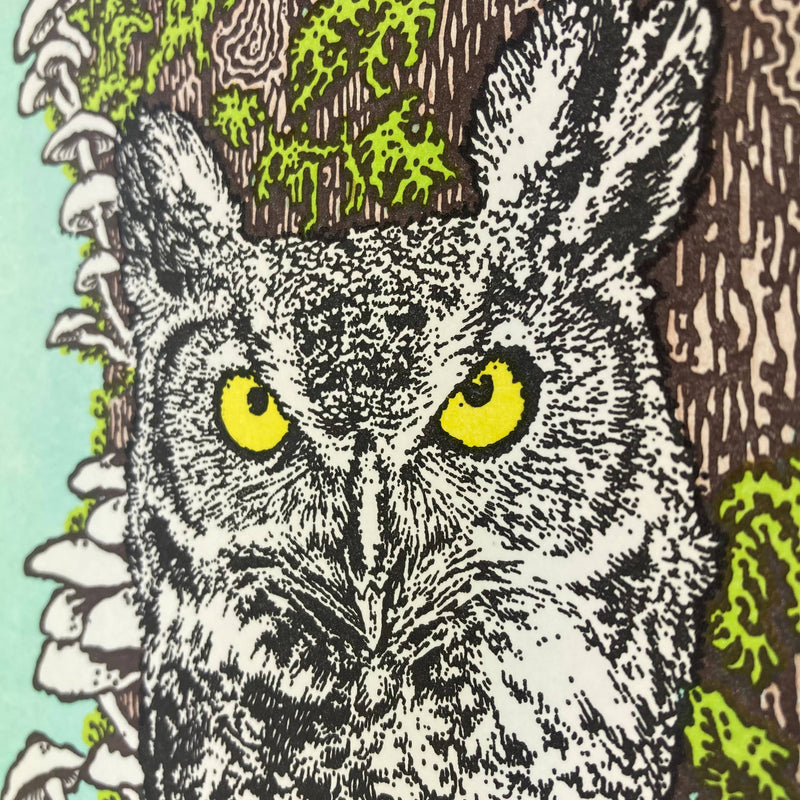 Art - Wise Old Owl in the Old Growth Forest