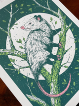Opossum Print