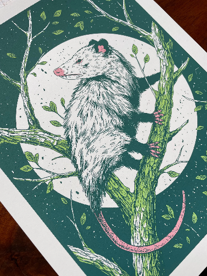 Opossum Print