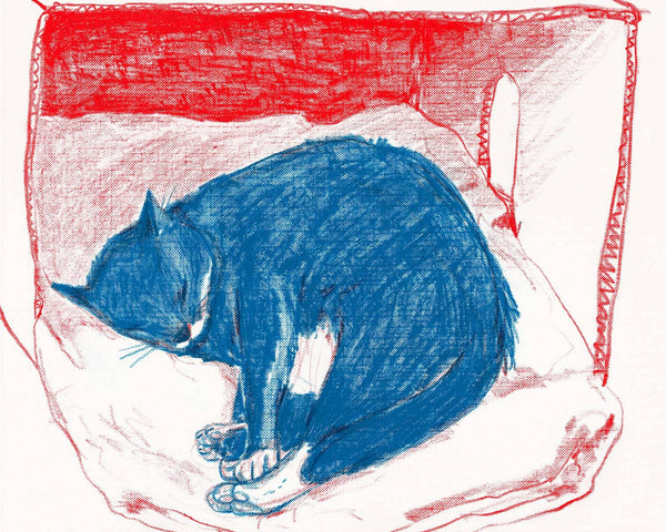 Print - "Pepper in His Box" - 8 x 10