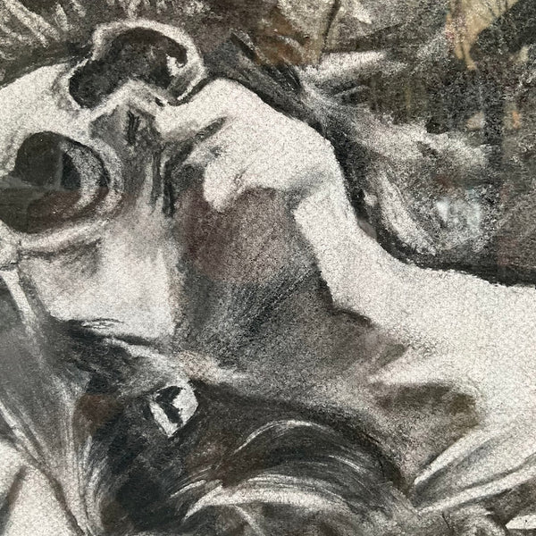 Basking and Bathing - Julia Walters
