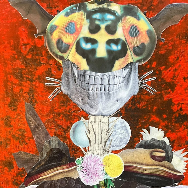 Supernatural Anaesthetist - Luis Santiago